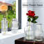 Koa Glass Table Vase