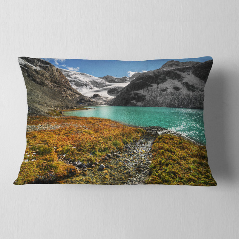 Coussin Schafer