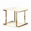 Table de bout de style contemporain avec tablette inférieure pour le salon