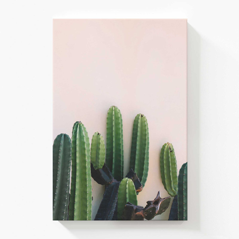 «Prickly Beauty», grande impression sur toile, H 54 po x l 36 po