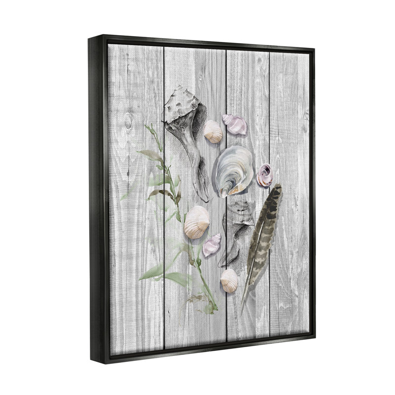 «Sea Life Coastal Shells» par Jennifer Paxton Parker, H 21 po x l 17 po x P 1,7 po, Cadre flottant noir de jais
