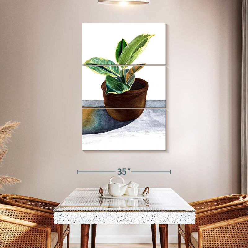 Plante Harnek dans un pot en céramique