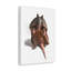 No Frame Print on Canvas-90583146