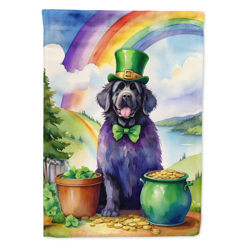 Drapeau de jardin double face en polyester H 15,5 po x l 11,25 po St Patrick's Day