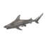 Tip Reef Shark Wall Décor