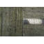 Tapis vert style tribal vert Gabbeh 7 x 10