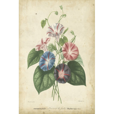 Victorian Bouquet I by Maubert - Wrapped Canvas Art Prints