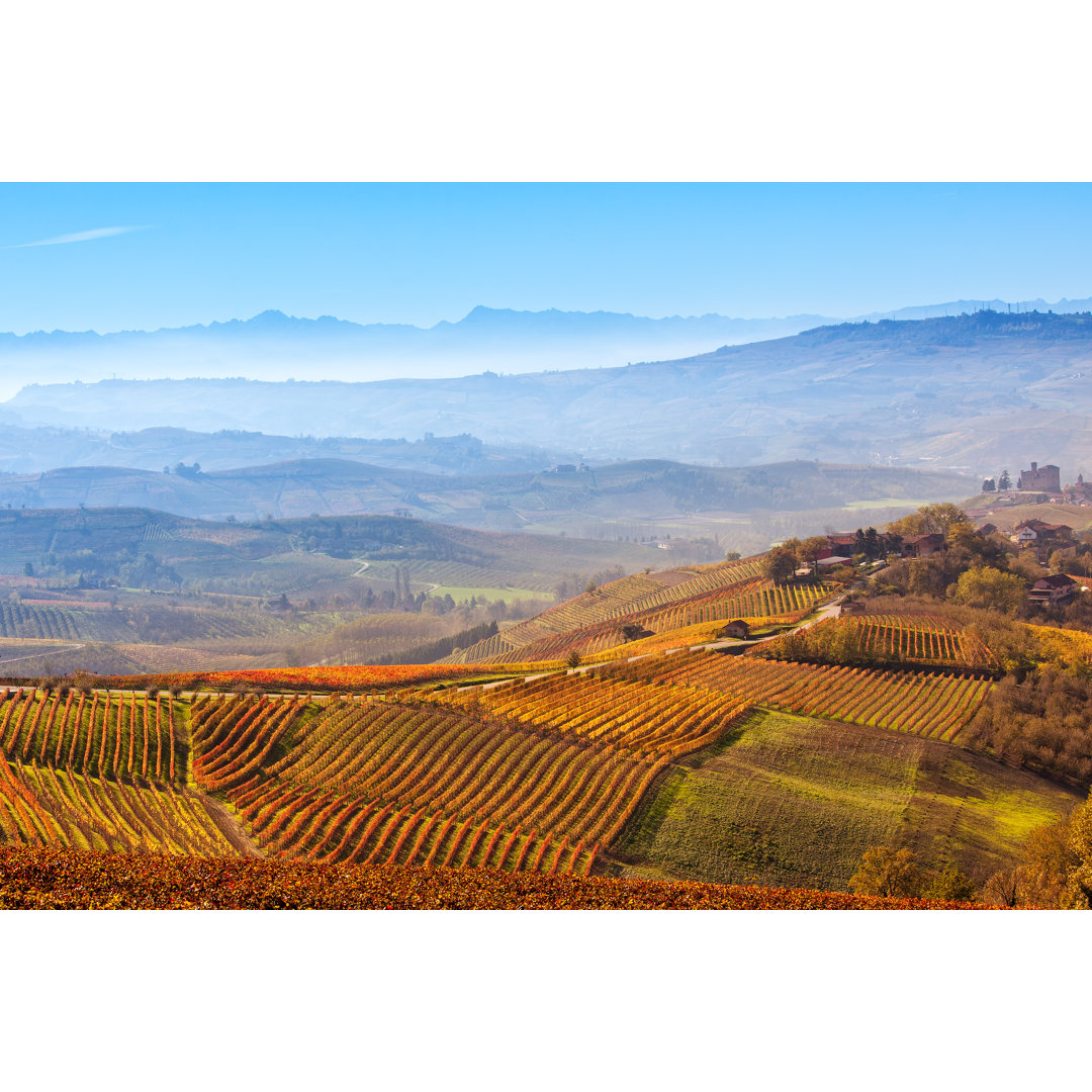 Bunte herbstliche Weinberge - Druck