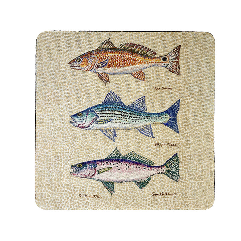 Square 4 Piece Coaster Set