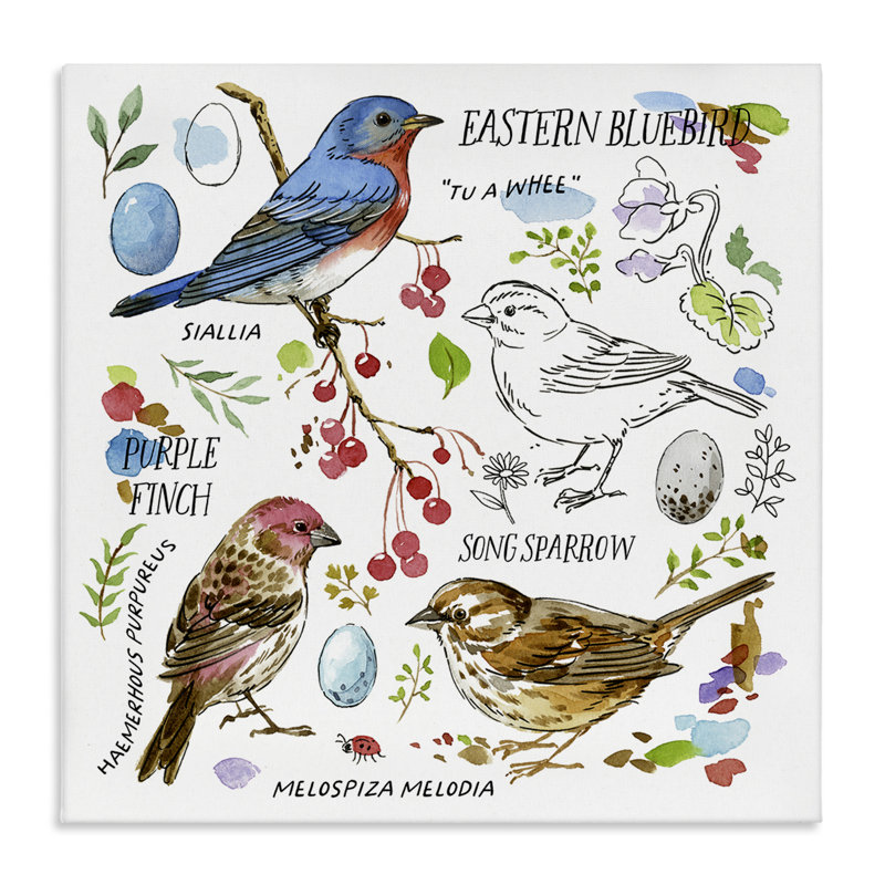 "Woodland Birds", art mural sur toile par Jane Maday, H 36 po x l 36 po