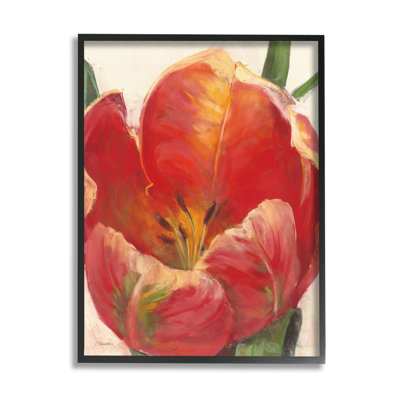 Doux tulipe rouge doux à gros plan floral