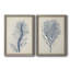 Indigo Coral-1687557483-1687523536-1687523541