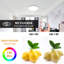 Ayak LED Flush Mount-513960916