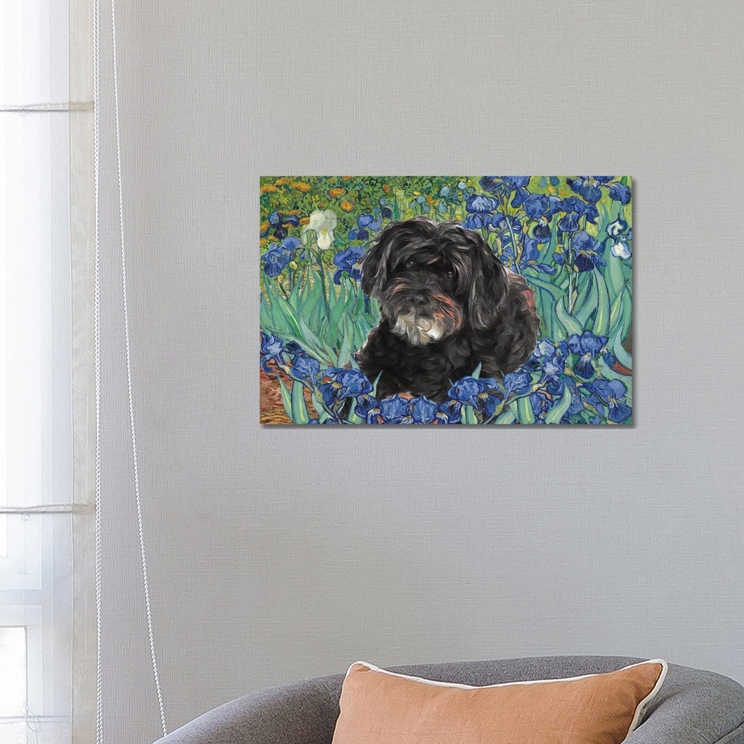 Schnoodle Irises by Nobility Dogs - Wrapped Canvas Art Prints