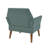 Newtin Mid-Century Modern Accent Chair-126140645