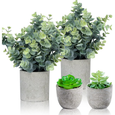 Petites plantes artificielles en pot d'eucalyptus en pot