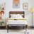 Alicia Steel Piece Bedroom Set-86687887