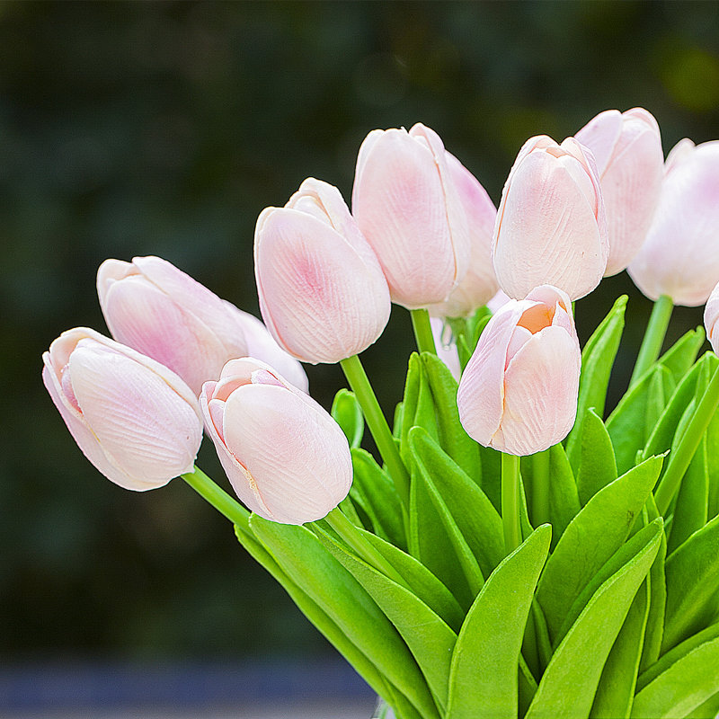 Tulip Arrangement in Vase, Pink