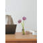 Urnes et bocaux en verre-1459119218