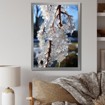 " Icy Tree In Winter II "