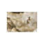 Cumulus Migration Print by Austin Beiv-26934718-26934723