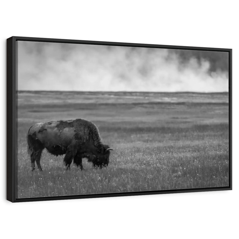 Parc national de Yellowstone, Cadre flottant noir, 43 po x 29 po