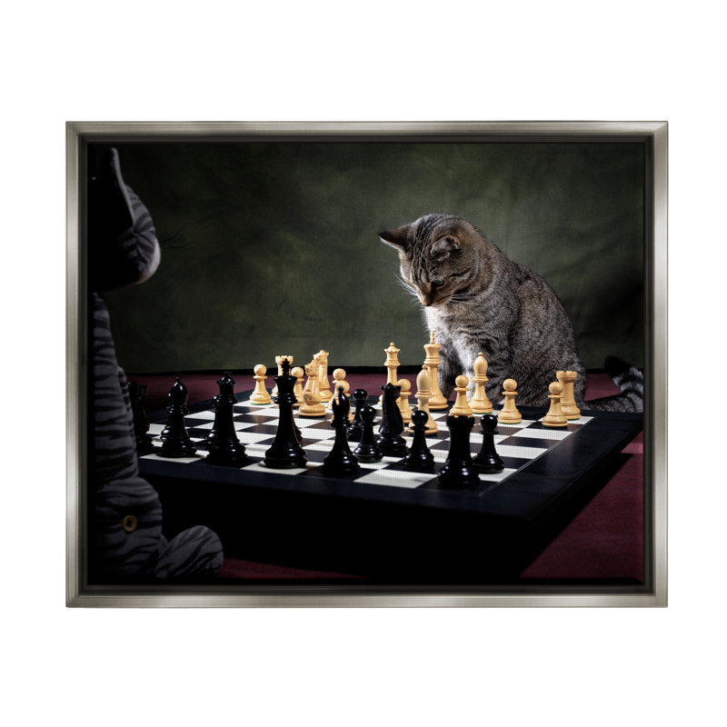 «Ba-363-Floater Cats jouer aux échecs», reproduction sur toile par Jonathan Casey, Cadre flottant gris lustré