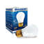 Ampoule incandescente 40 W A15 à intensité variable (E26)
