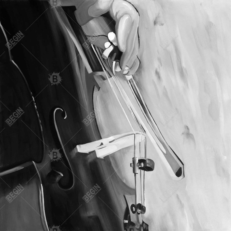Musicien avec couleurs de violoncelle mono | Toile encadrée pour la décoration intérieure