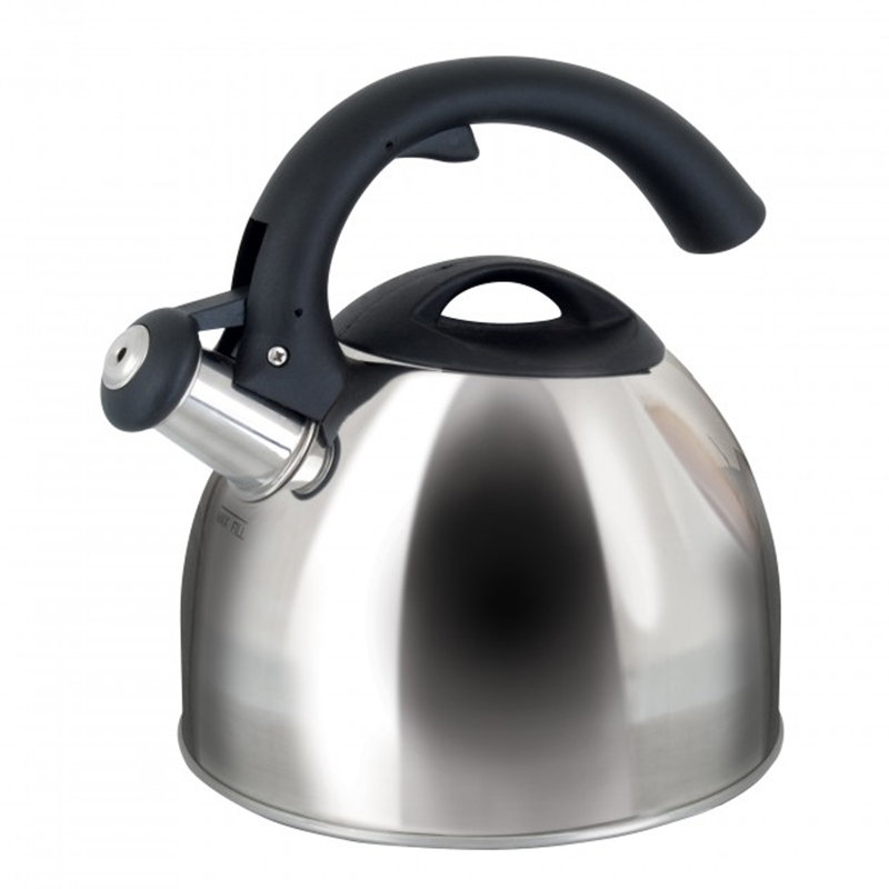 Mr. Coffee Stainless Steel Stovetop Kettle