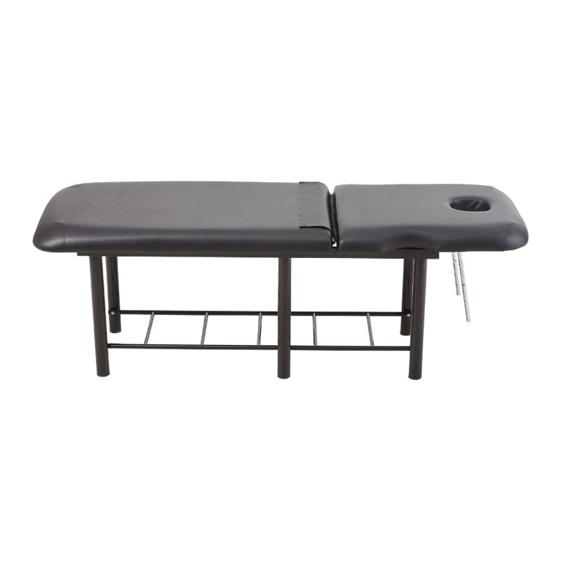 Massage Bed for Physical Therapy Spa Facial with Adjustable Backrest
