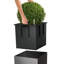 Planter Box-26992053-26992056