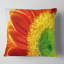 Gerber Daisy Flower Petals - Coussin imprimé floral-30721395-30721391