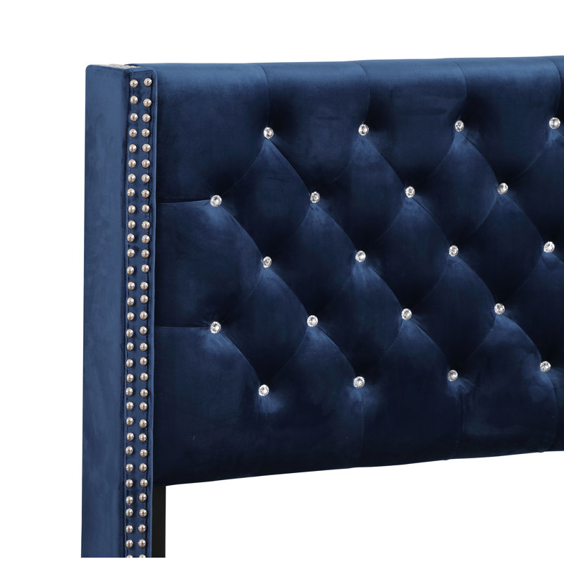 Ashe Upholstered Standard Bed, Full/Double, Navy Blue