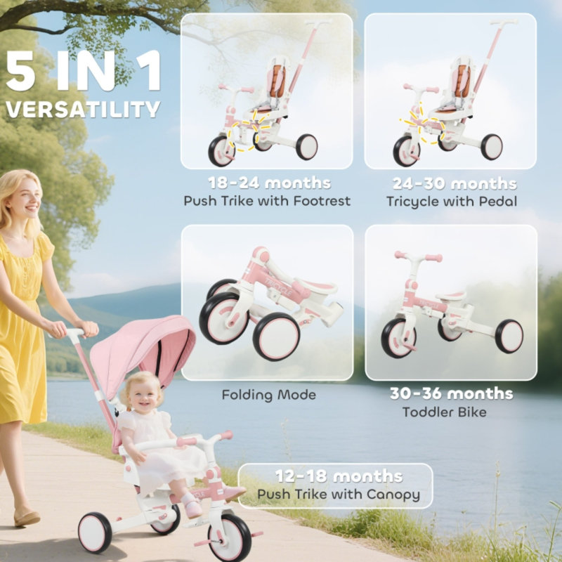 EvoNet Push/Pull Ride On