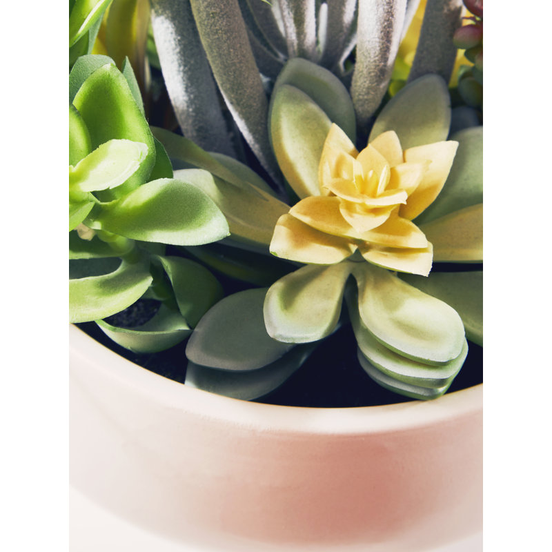 24cm Faux Succulent in Ceramic Pot