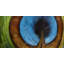 Peacock feather center - 24"x48" Framed canvas