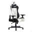 Fauteuil de jeu Techni Sport RTA-TS68C-WHT-249711512