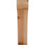 Attelle de genou Legacy-64784735-64751483