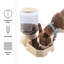 Ensemble de 2 mangeoires automatiques pour animaux PETL