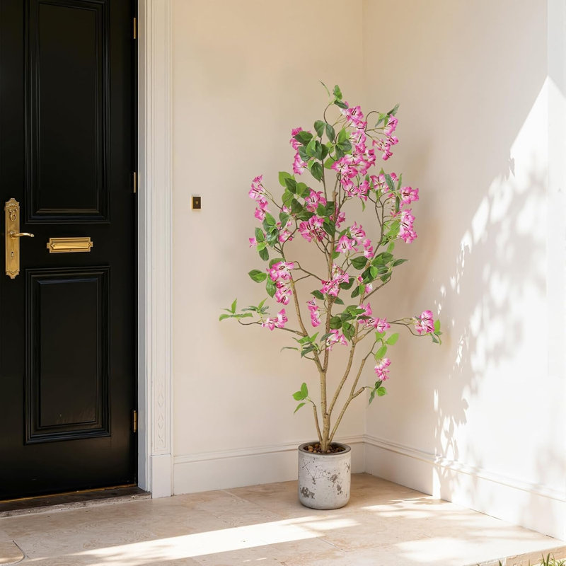 120cm Plant