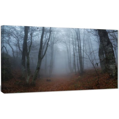 «Autumn Rainy Forest in Crimea», reproduction de photo sur toile tendue