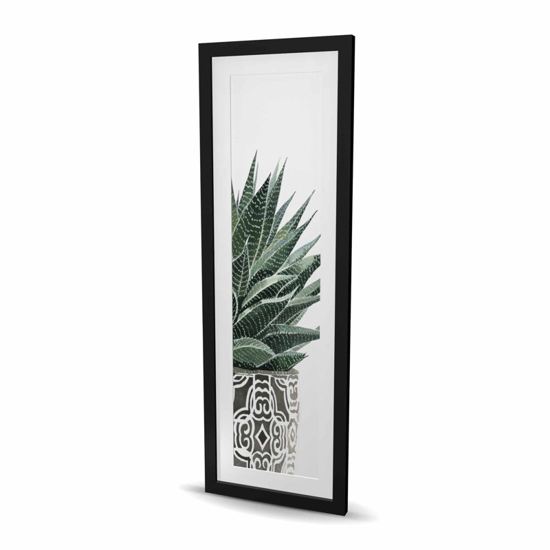 Reproduction de plante zébrée - Bohème vert