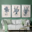 Marine Plant Sketches I - ensemble de 3 reproductions de cadres photo-69879276-69879274