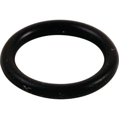 Replacement O-Ring for Thick Spout
