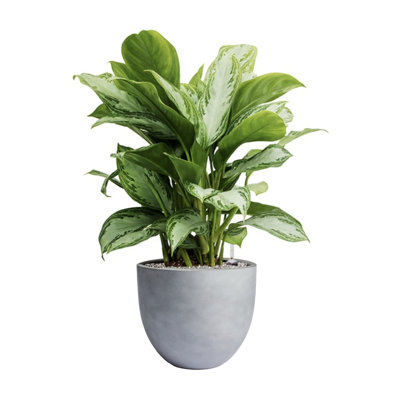 Dorlis Handmade Pot Planter