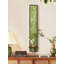 Décorations murales de plantes vertes chinoises-1434234413