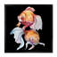 Aquarelle, art du poisson II - sur-1969988278-1969988279