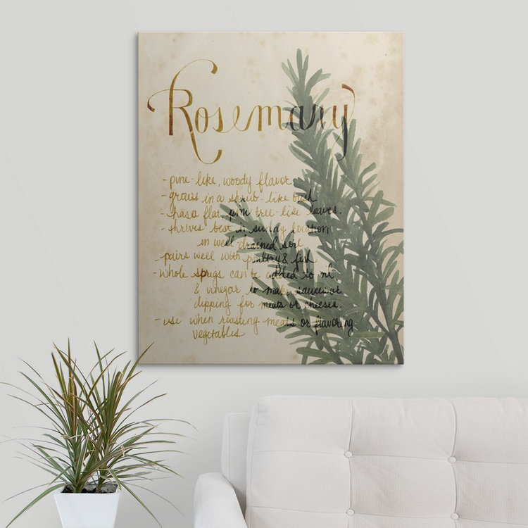 «Herb Study IV», reproduction de peinture de Grace Popp, H 20 po x l 16 po x P 1,5 po, Toile