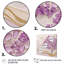 Arbre mauve jacaranda printanier mauve-2036063560-2036063558-2036063559